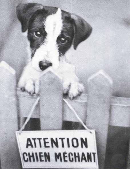 http://www.millenniumdogs.net/hum17.jpg
