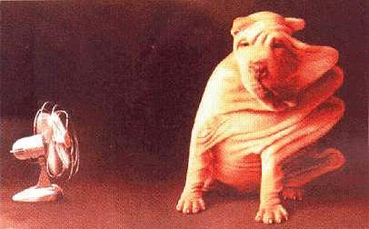 http://www.millenniumdogs.net/hum4.jpg