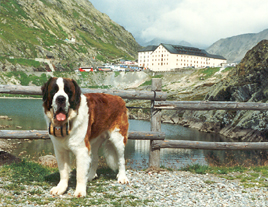 GAS con lo sfondo dell'Ospizio del Gran San Bernardo